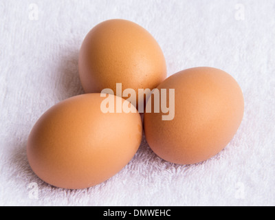 Three fresh chicken eggs on white background Stock Photo