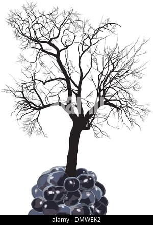 Raspberry tree of fruit mulberry Stock Vector