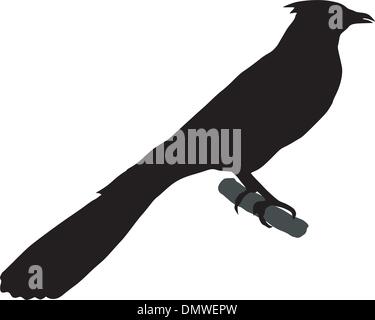 silhouette of cuckoo Stock Vector