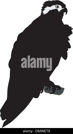 silhouette of osprey Stock Vector