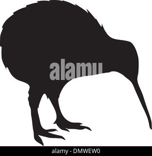 kiwi Stock Vector