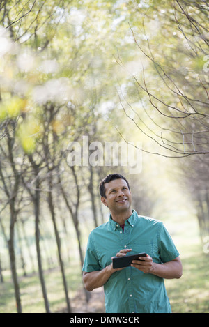 A man  in an avenue of trees holding a digital tablet. Stock Photo