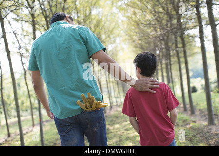 A man and a young boy walking down an avenue of trees. Stock Photo