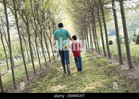 A man and a young boy walking down an avenue of trees. Stock Photo