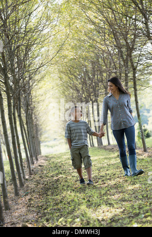 A woman and a young boy holding hands walking in woods.