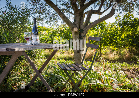 Bottle of Chateauneuf du Pape wine on table in vineyard. Chateauneuf du Pape, Alpes-Côte d'Azur, France. Stock Photo