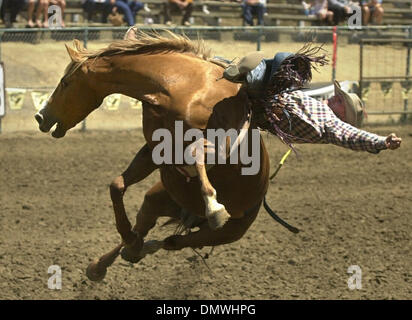 May 20, 2001; Castro Valley, CA, USA; Scott Montague, of Fruitdale, South Dakota, hangs on at he goes one way and his mount tries to go the other way diring the bareback riding May 20, 2001 at the Rowell Ranch Rodeo in Castro Valley, Calif. Stock Photo