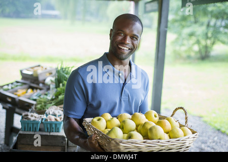 An organic fruit and vegetable farm. A man carrying vegetables. Stock Photo