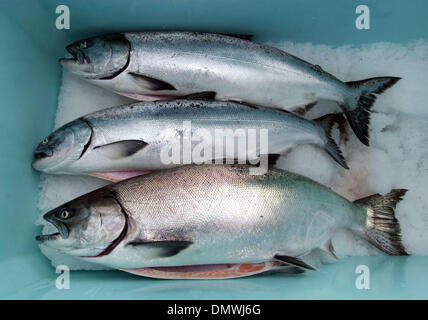 Commercial fishing Boat Grace L in Frederick Sound, Petersburg , Alaska ...