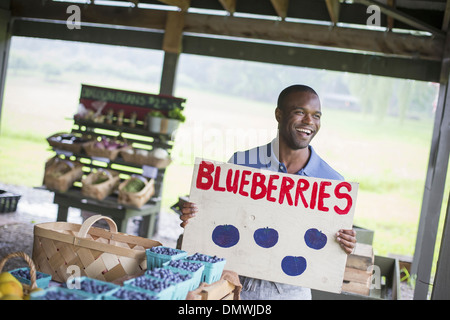 An organic fruit and vegetable farm. A  person carrying a blueberries sign. Stock Photo