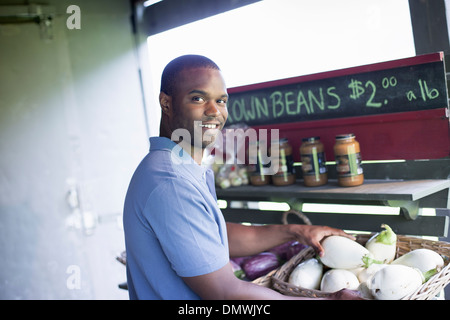 An organic fruit and vegetable farm. A man sorting vegetables. Stock Photo