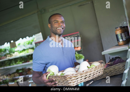 An organic fruit and vegetable farm. A man sorting vegetables. Stock Photo