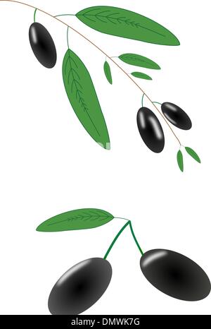 Olive branch illustration Stock Vector Image & Art - Alamy