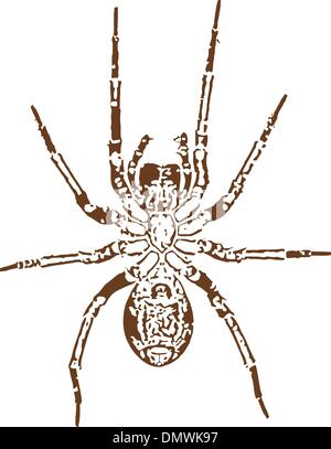 Vector image of spider silhouette Stock Vector Image & Art - Alamy