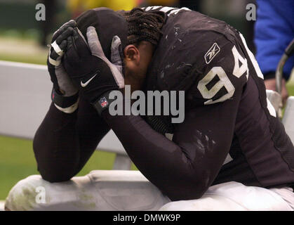 Jake Plummer of the Arizona Cardinals Stock Photo - Alamy