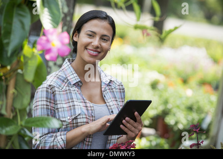 A woman in an organic nursery greenhouse using a digital tablet. Stock Photo