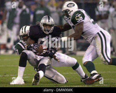 Tim Brown #81 with a reception vs the New York Jets.