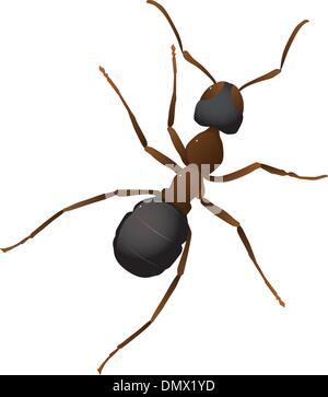 Vector illustration of an ant Stock Vector