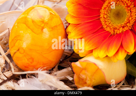 Stock Photo