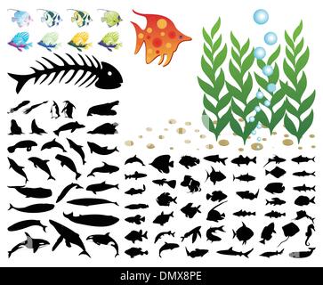 Sea collection Stock Vector