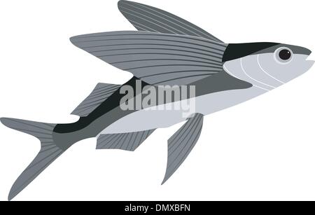 flying fish Stock Vector