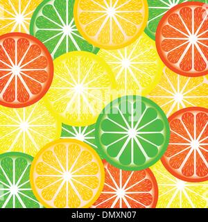 Background a citrus Stock Vector