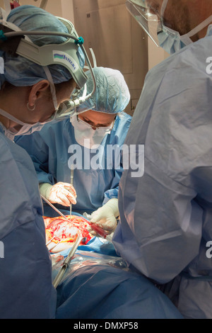 Surgeons perform a hysterectomy on a woman with endometrial cancer. Stock Photo