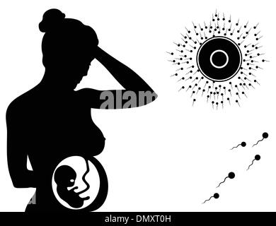 Pregnancy Stock Vector