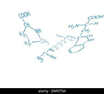 Amino acids Stock Vector