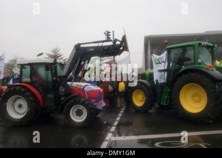 'Wir haben es satt' 2012. Demonstration against german and EU agricultural policy. Stock Photo