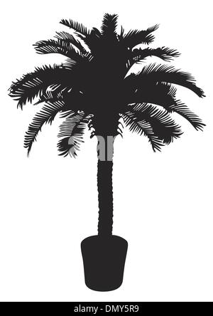 Palm tree Stock Vector