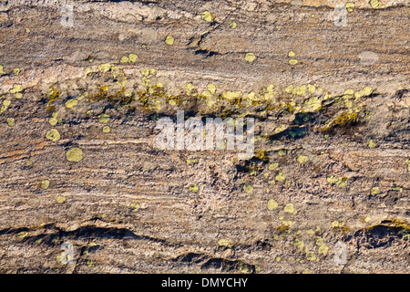 Rock texture surface Stock Photo