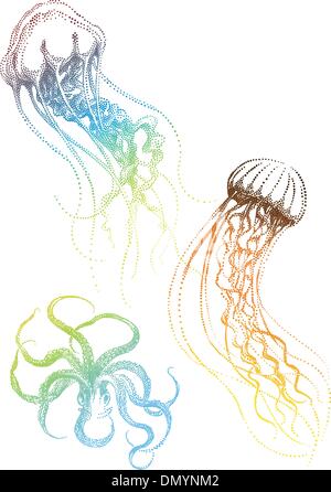 jellyfish and octopus, vector Stock Vector