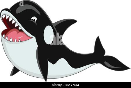 Orca Cartoon Stock Vector