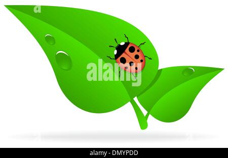 Ladybug on green leaf Stock Vector