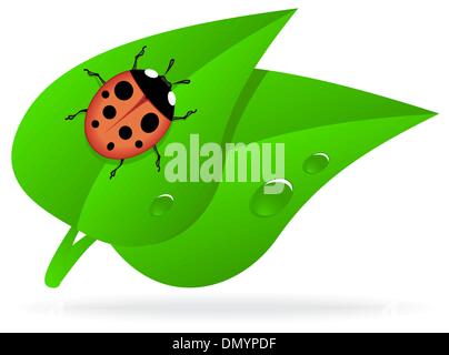 Ladybug on green leaf Stock Vector