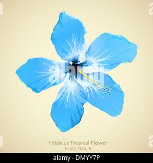 Hibiscus flower vector illustration. Tropical background design Stock Vector
