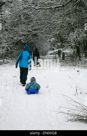 Mother Pulling her Son on a sledge Stock Photo