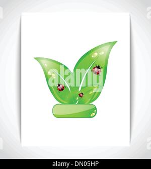 Green eco leaves with ladybugs on the white paper Stock Vector