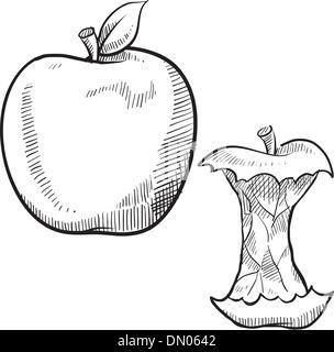 Apple Drawing  How To Draw An Apple Step By Step