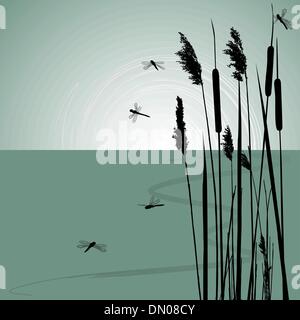 Reeds in the water and  few dragonflies  - vector Stock Vector