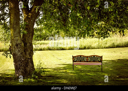 Bench under lush shady tree in summer park Stock Photo