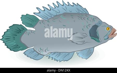 Fish isolated on white Stock Vector