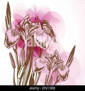 Floral card with watercolor iris flowers on grunge paper background Stock Vector