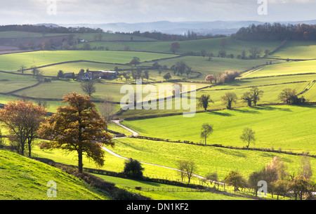 Afternoon light over Herefordshire countryside from the Marcle Ridge near Much Marcle and Woolhope, England, UK Stock Photo