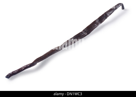 Vanilla Pod - John Gollop Stock Photo