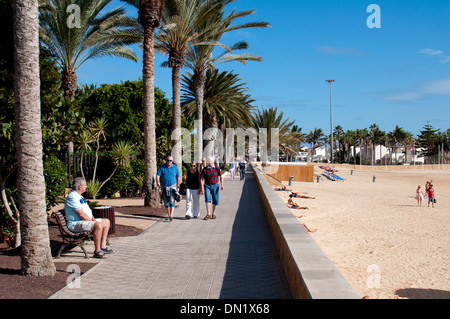 The sea front, Caleta de Fuste, Fuerteventura, Canary Islands, Spain. Stock Photo