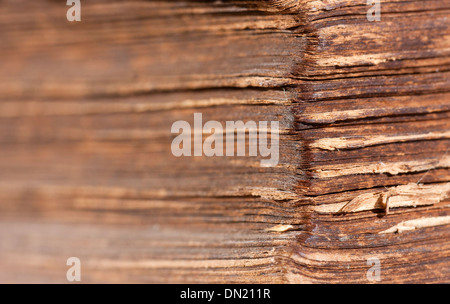 Closeup of an old ancient book with worn sheets Stock Photo