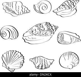 Set seashells, outline Stock Vector