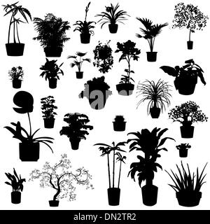 Potted plants Stock Vector